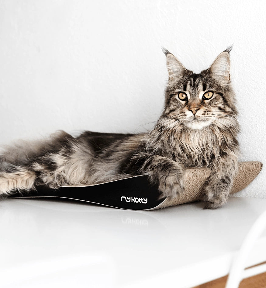 Tobi Black Cat Scratcher
