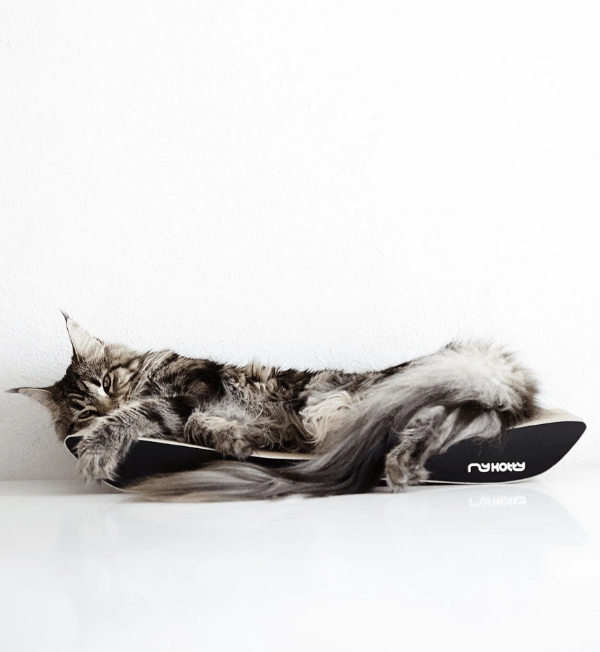 Tobi Black Cat Scratcher
