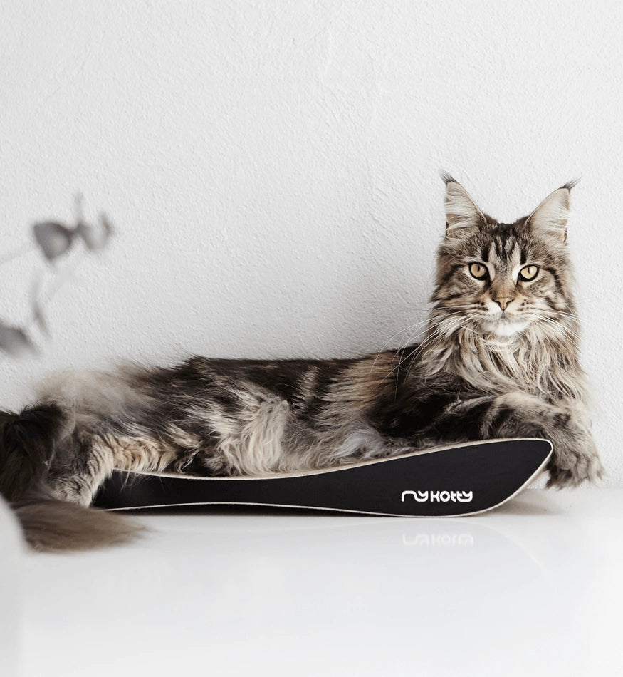 Tobi Black Cat Scratcher