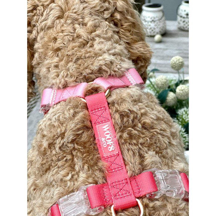 Duo Color Coral Blush Dog Harness