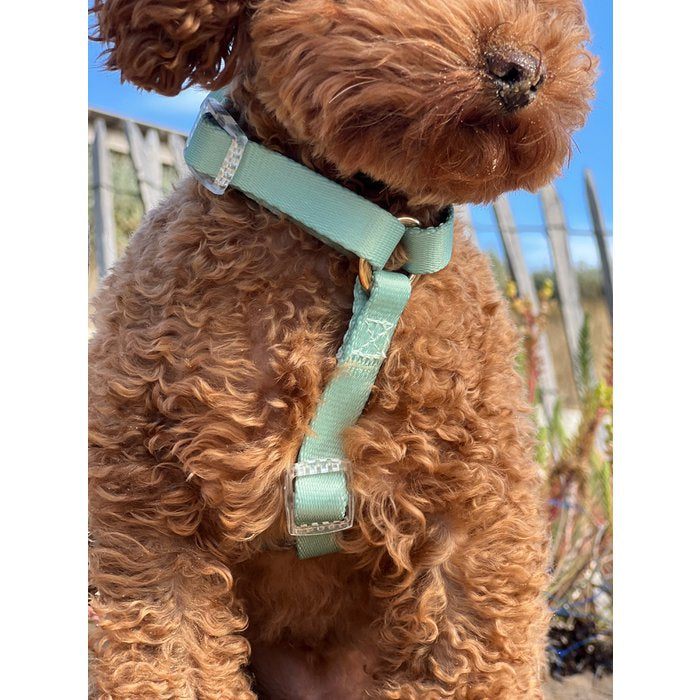 Duo Color Green Dog Harness