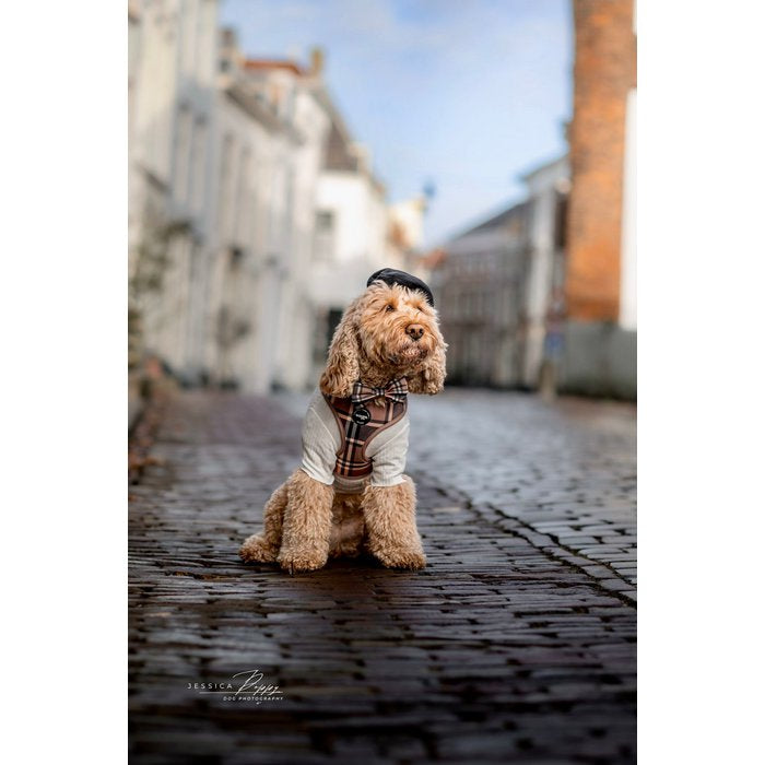 Tartan Tan Beige Dog Harness