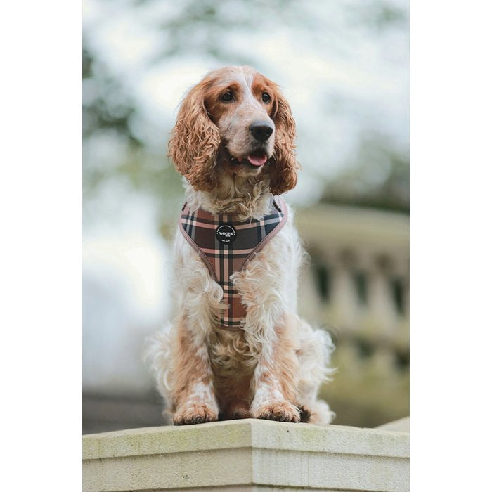 Tartan Tan Beige Dog Harness