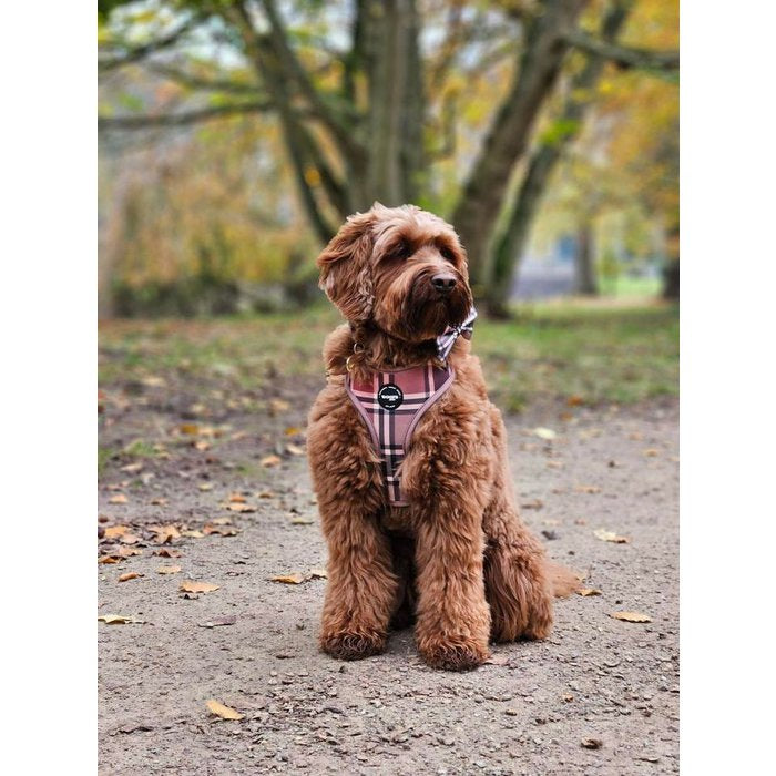 Tartan Tan Beige Dog Harness
