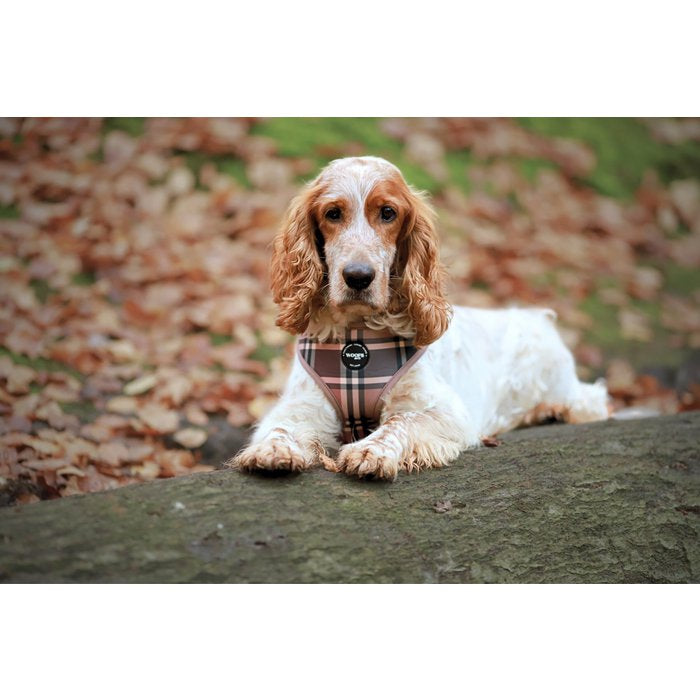Tartan Tan Beige Dog Harness