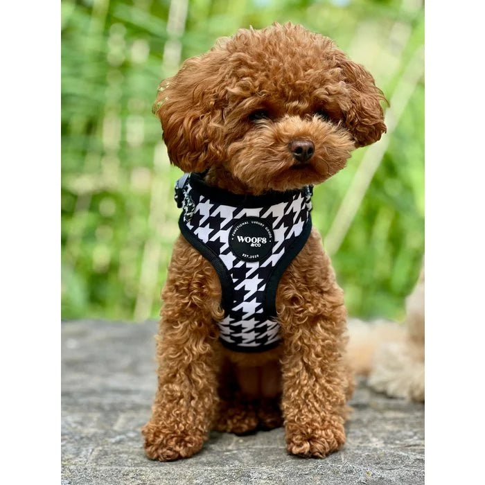 Houndstooth Black Edition Dog Harness