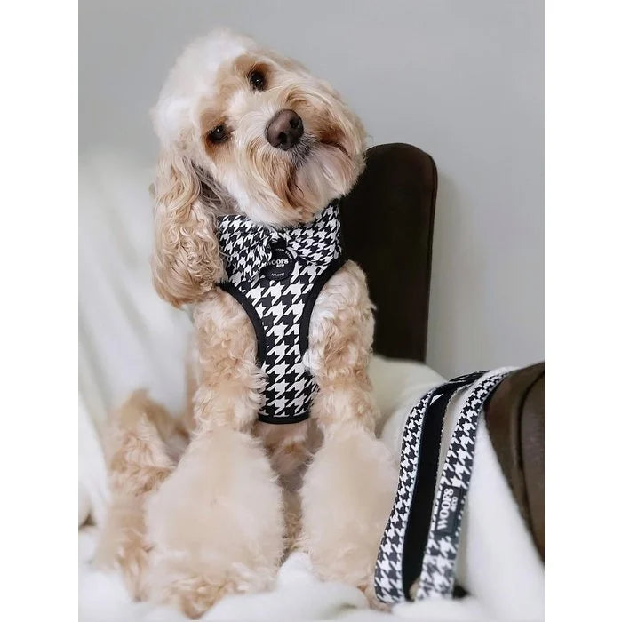 Houndstooth Black Edition Dog Harness