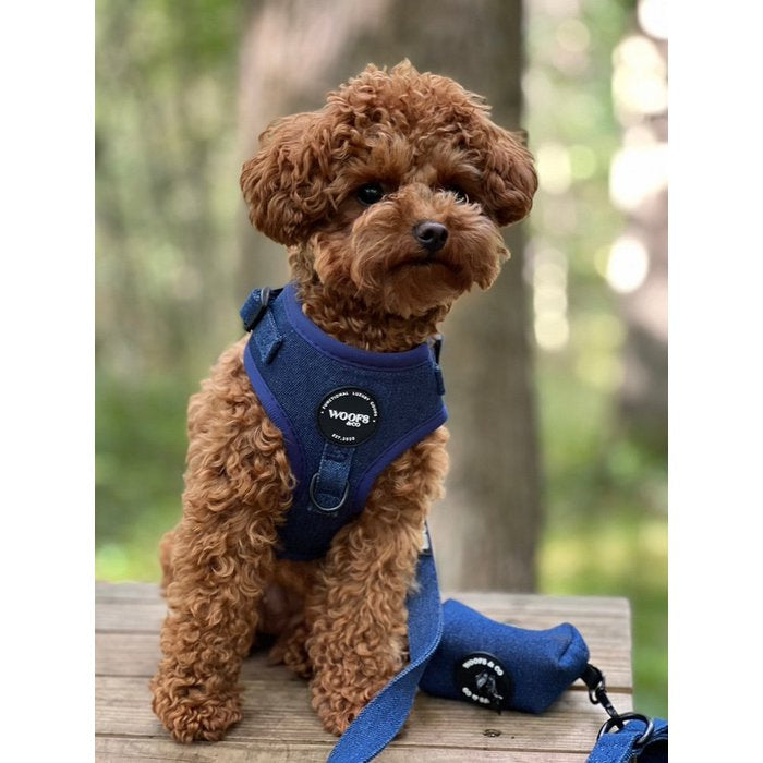 Denim Dog Harness