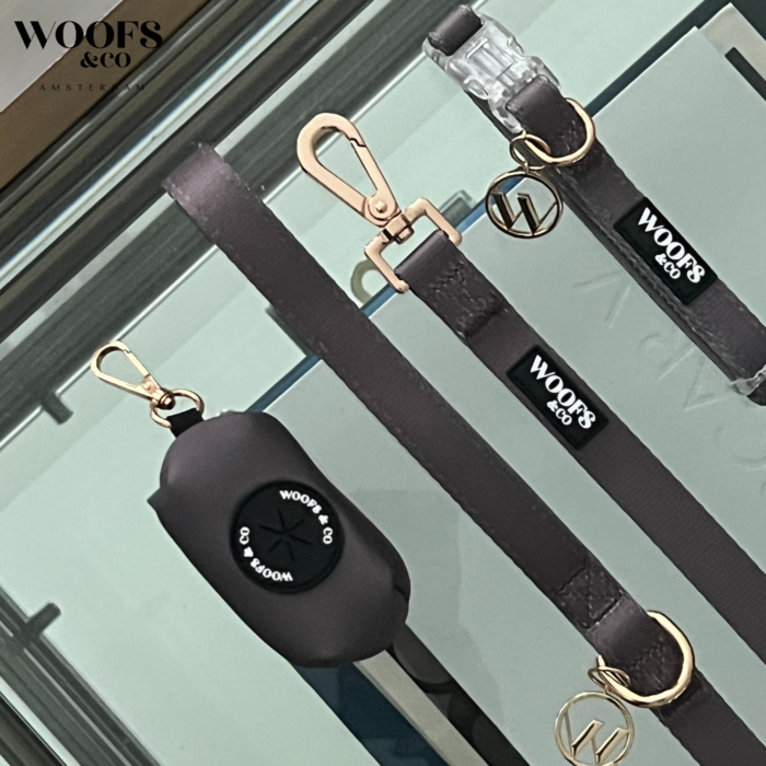 Ash Dog Collar with Charm