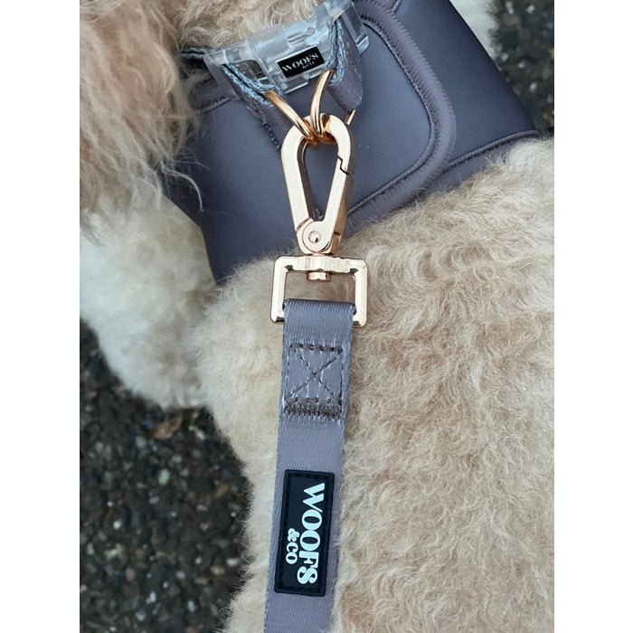 Ash Dog Leash with Charm