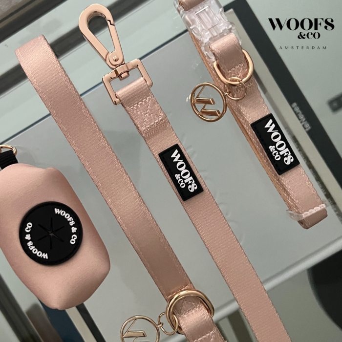 Dune Dog Collar with Charm