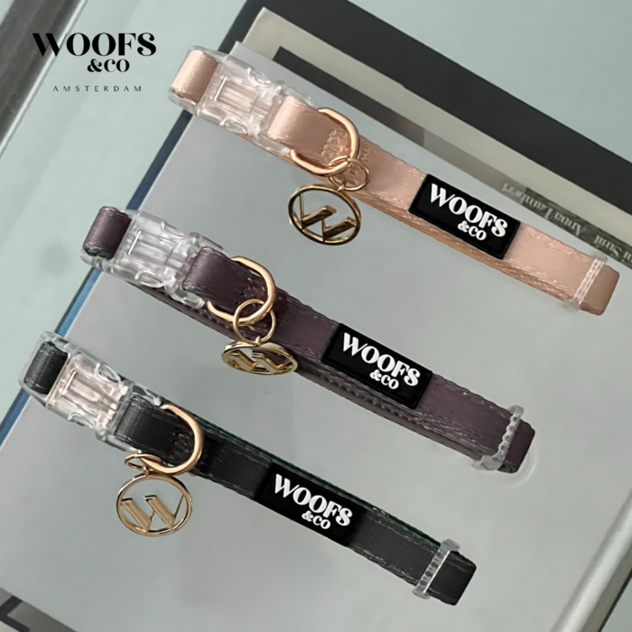 Ash Dog Collar with Charm