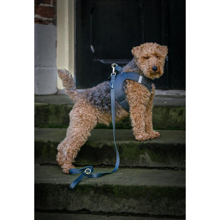 Khaki Dog Leash with Charm