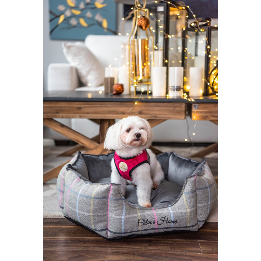 London Exclusive Pet Bed