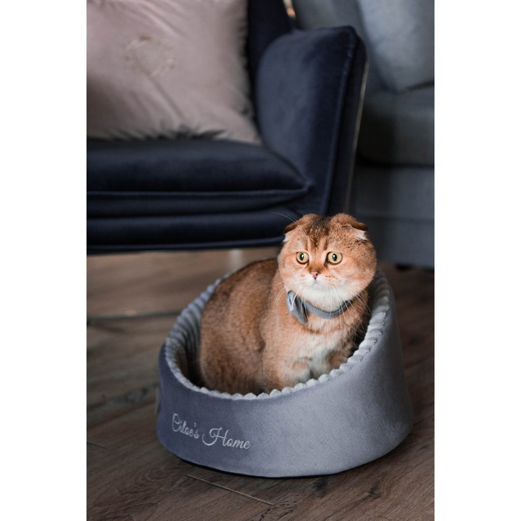 Neapol Cat Bed & Play Box 2-in-1