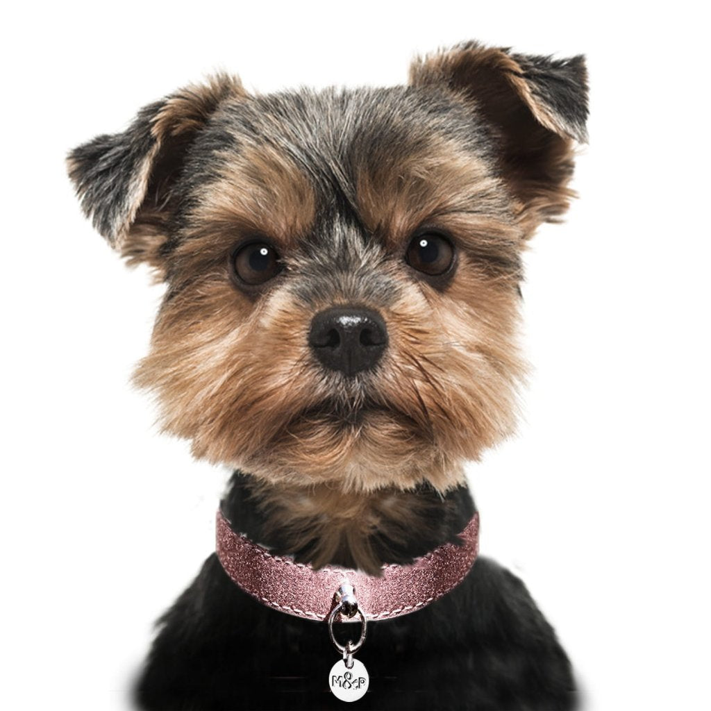 Stardust Pink Dog Collar