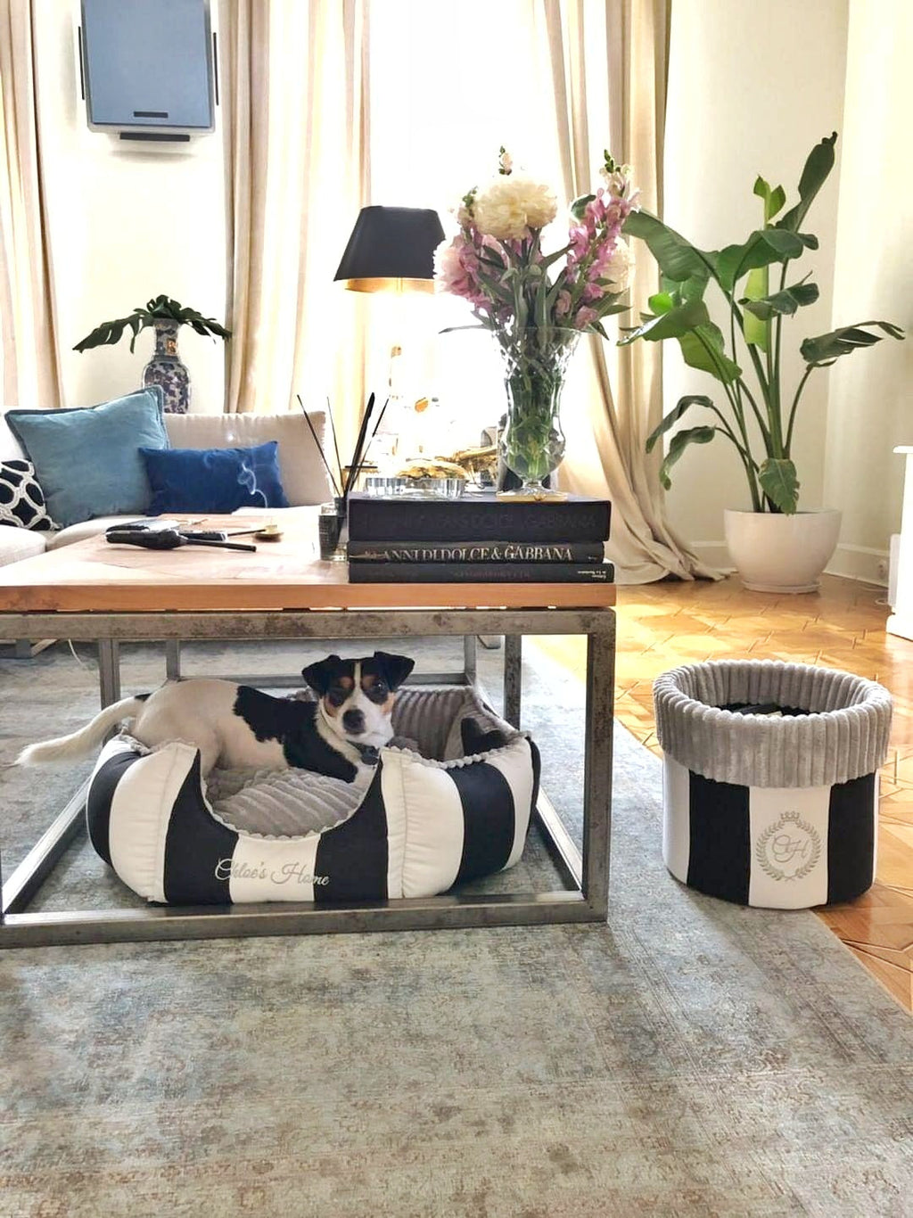 Monte Carlo Pet Bed