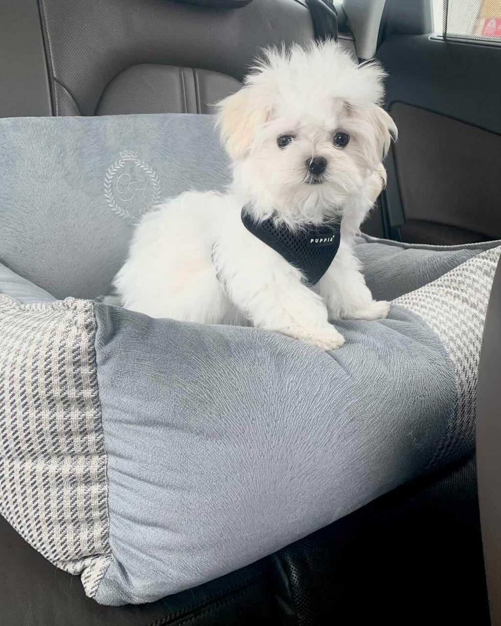 Berlin Grey Pet Car Seat