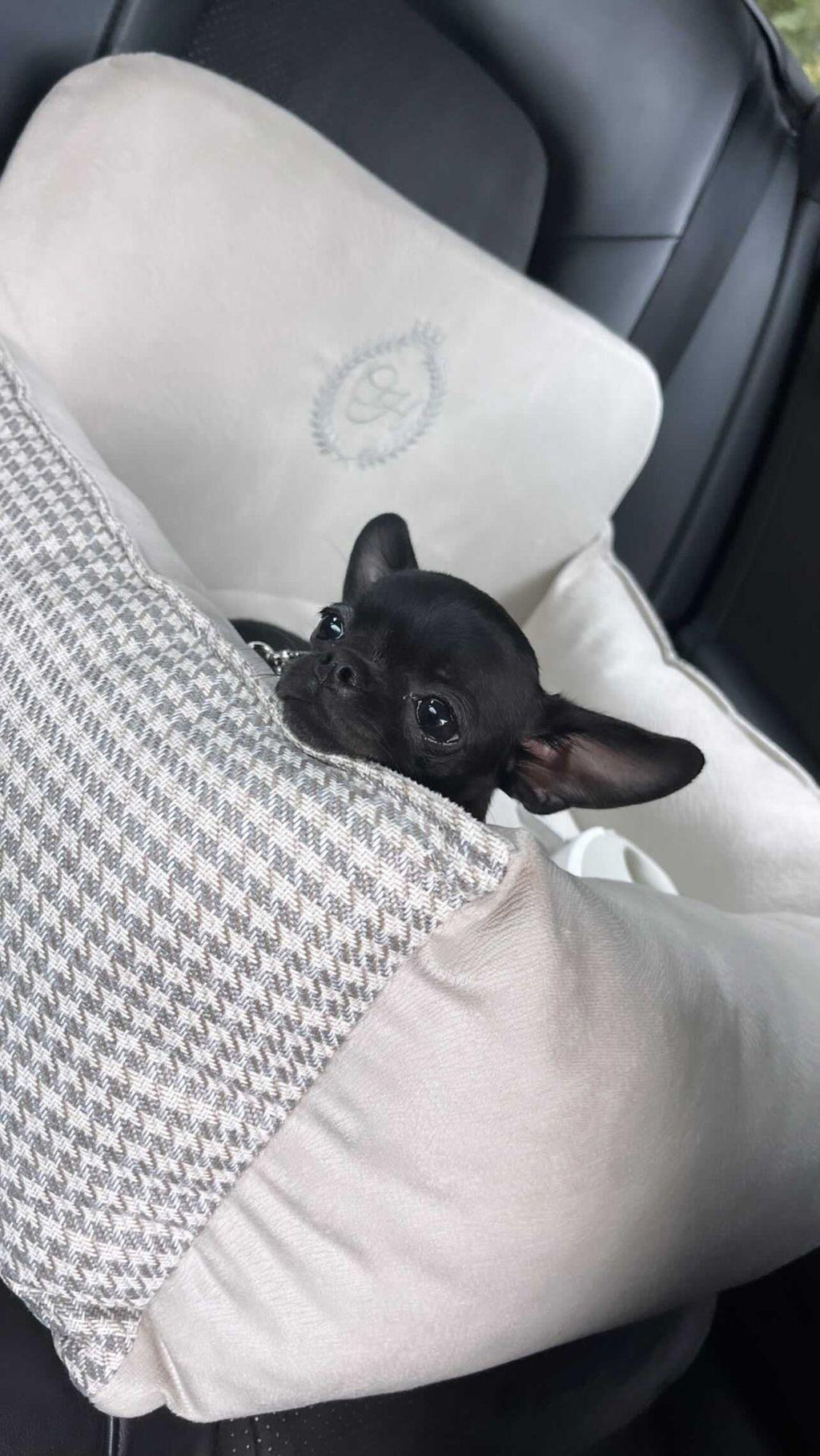 Berlin Ecru Pet Car Seat