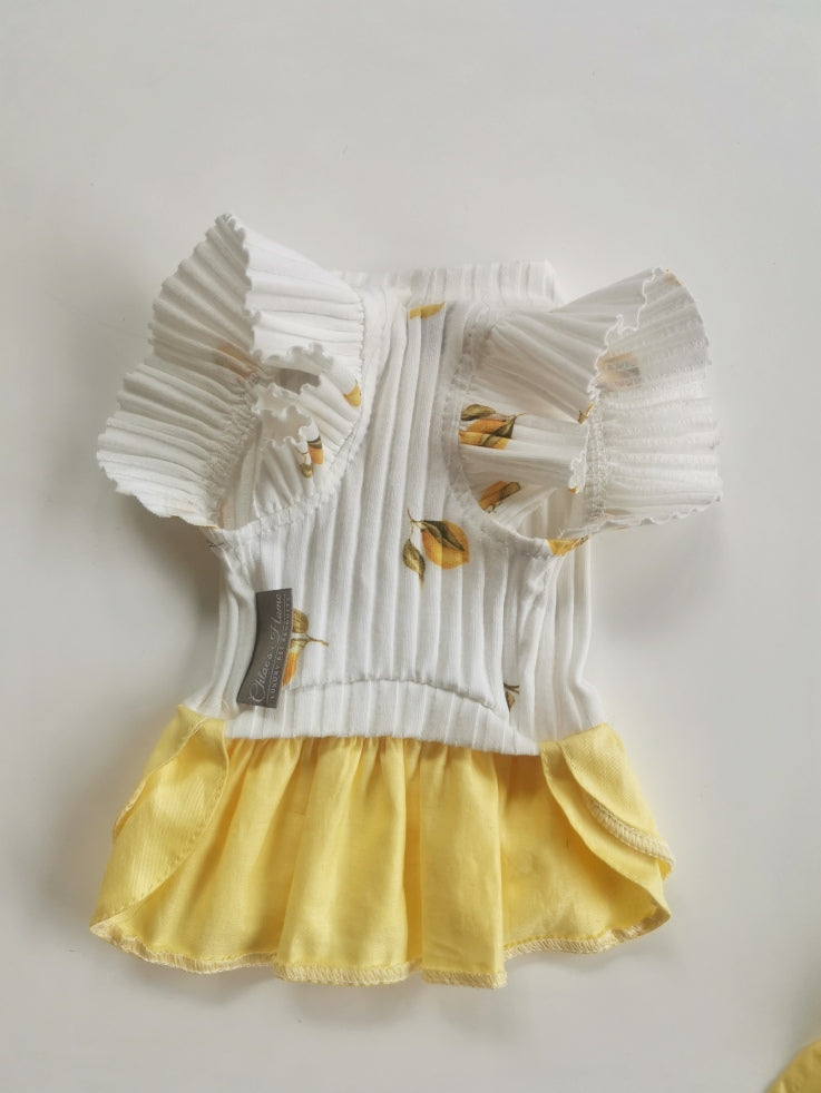 Fruit Lemon Pet Summer Dress for Dogs or Cats