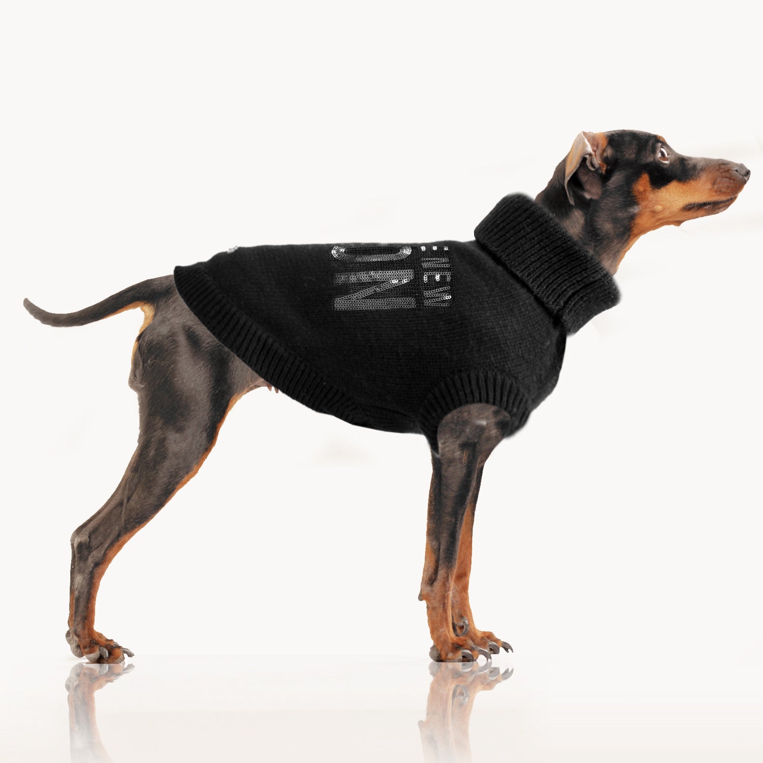 Lyra “I’M THE NEW ICON” Sweater for Dogs