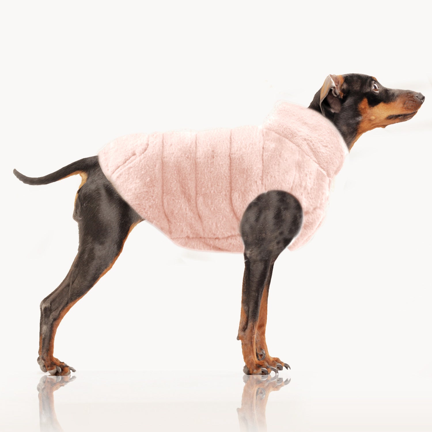 Louise Reversible Winter Jacket for Dogs