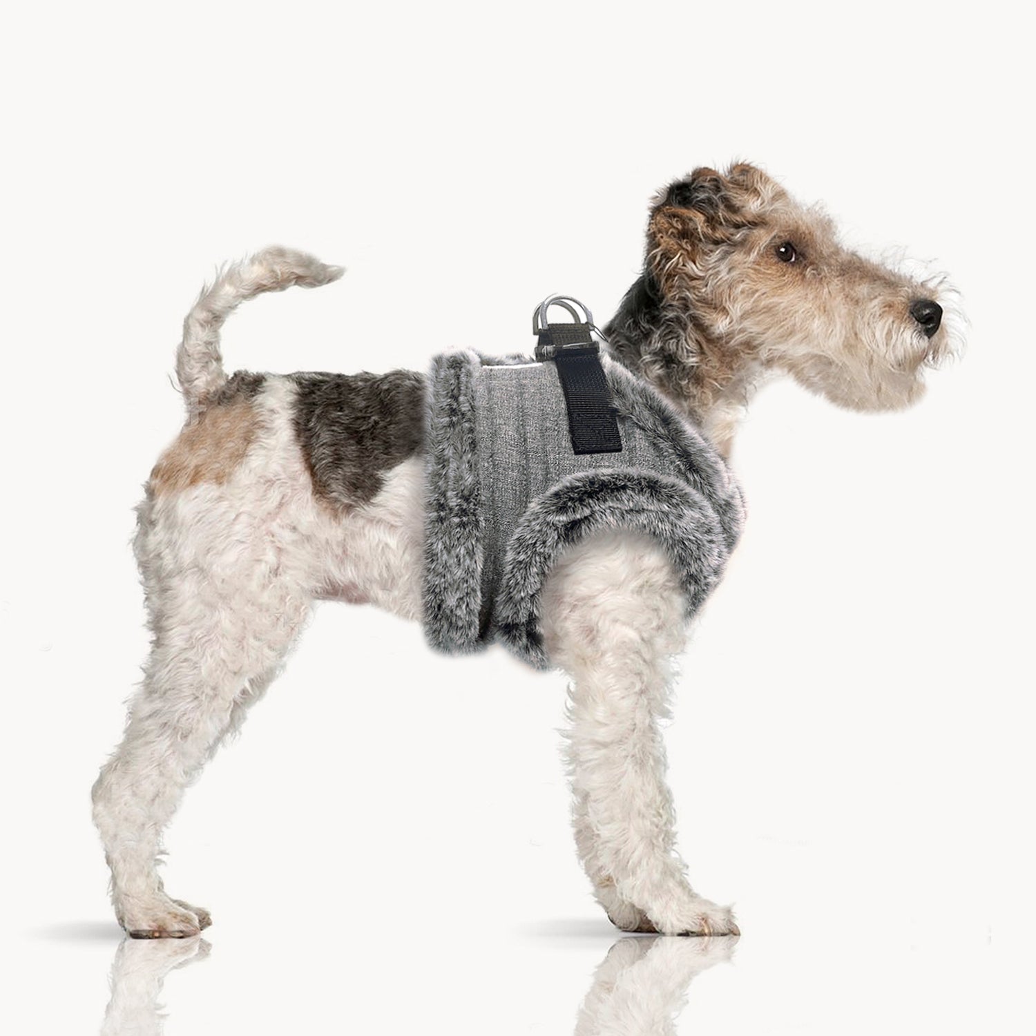 Maxence Puff Jacket Harness for Dogs