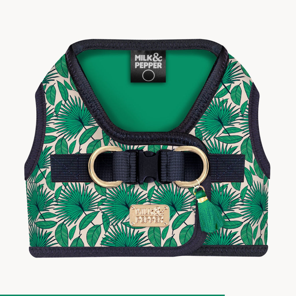 Tropical Summer Harness for Dogs and Cats