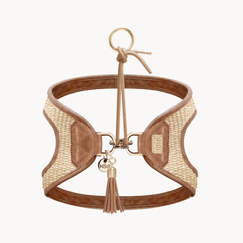 Assia Summer Straw Braided Dog Harness