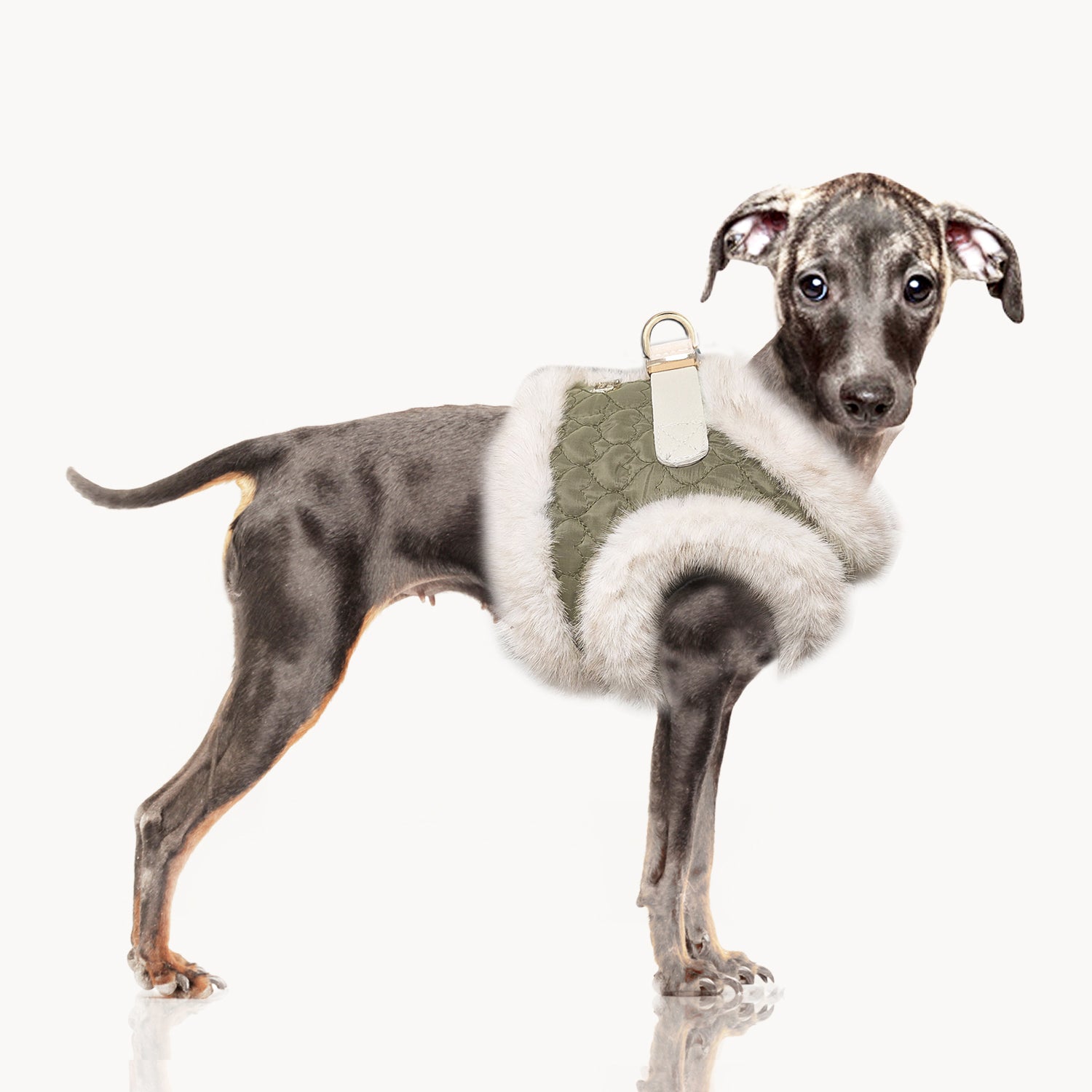 Clarice Puff Jacket Harness for Dogs