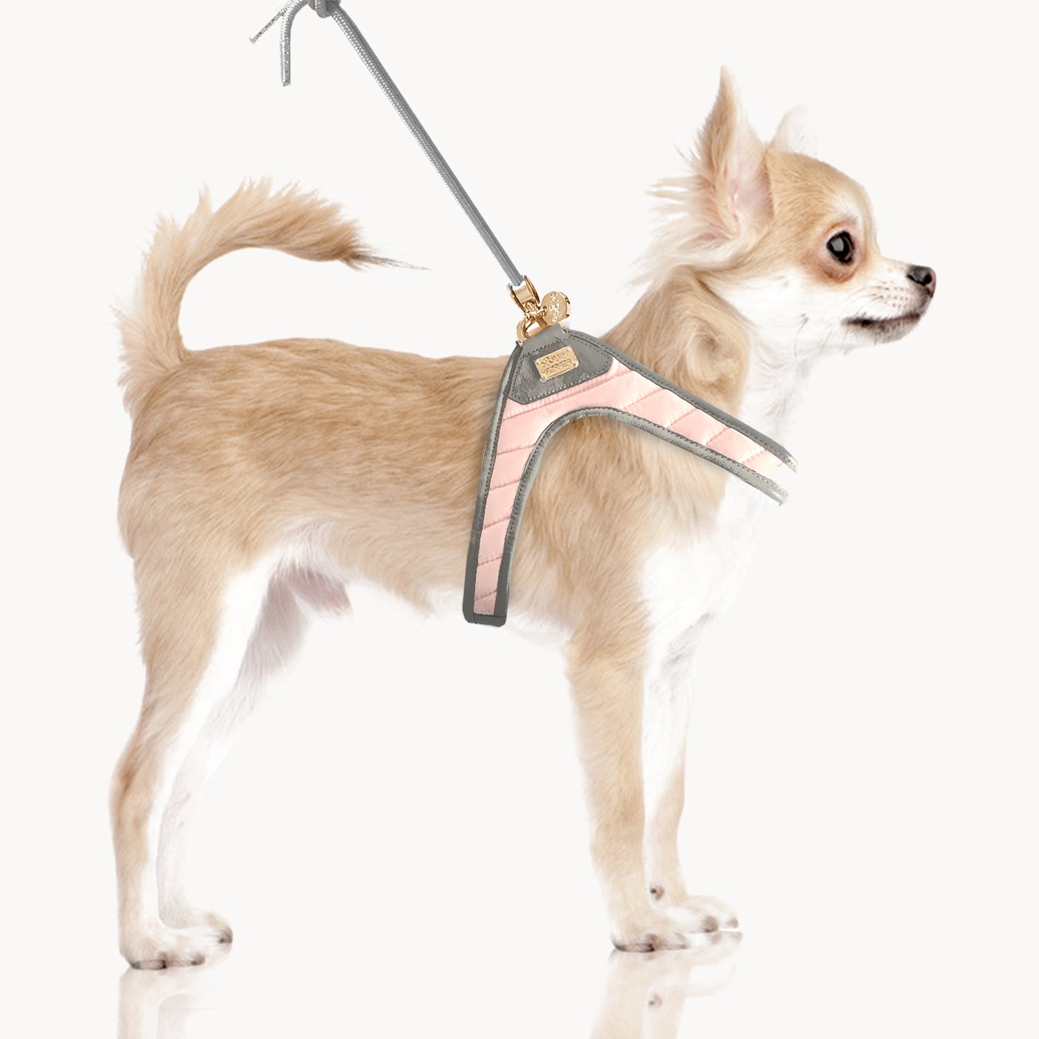 Coline Pink Slings Harness