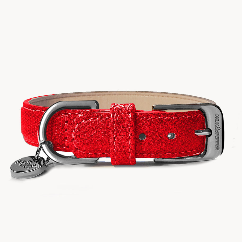 Pogona Red Dog Collar