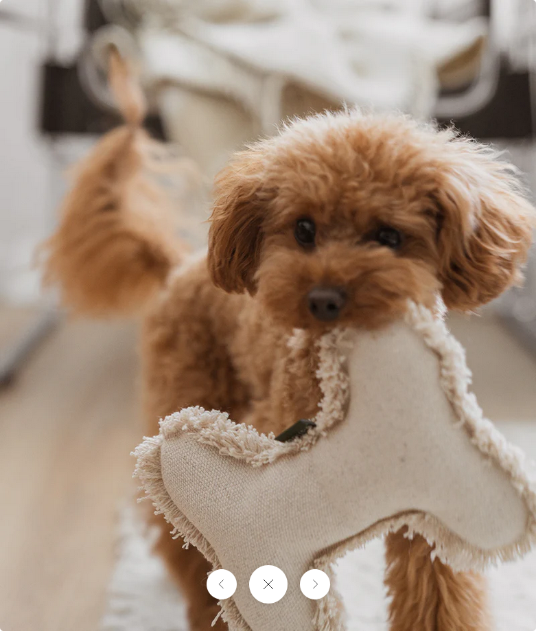 Bone-Shaped Organic Toy