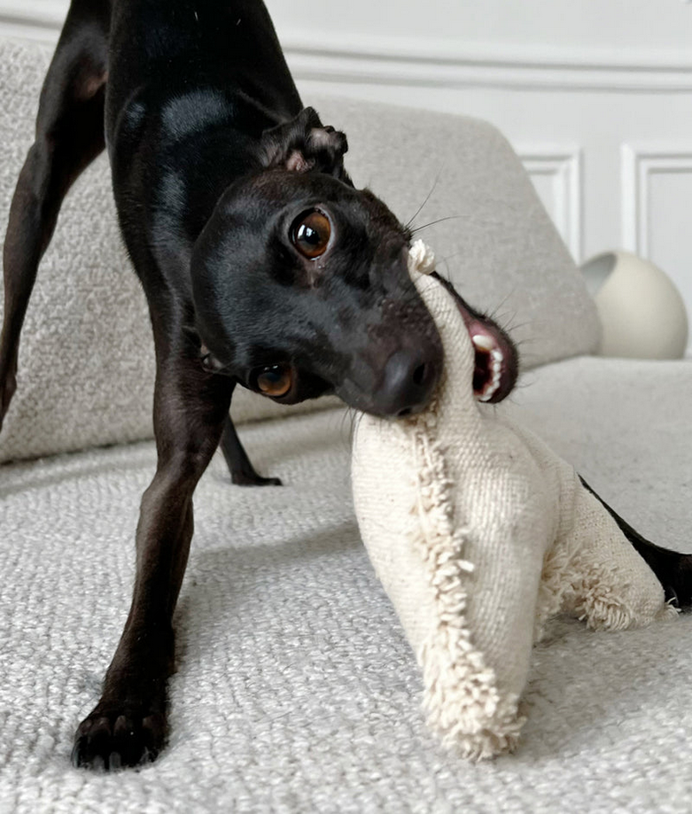 Bone-Shaped Organic Toy