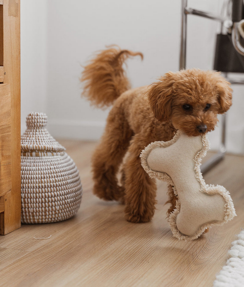 Bone-Shaped Organic Toy