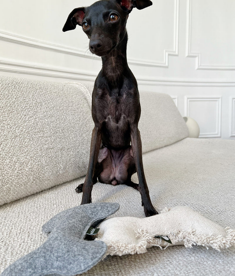 Bone-Shaped Organic Toy