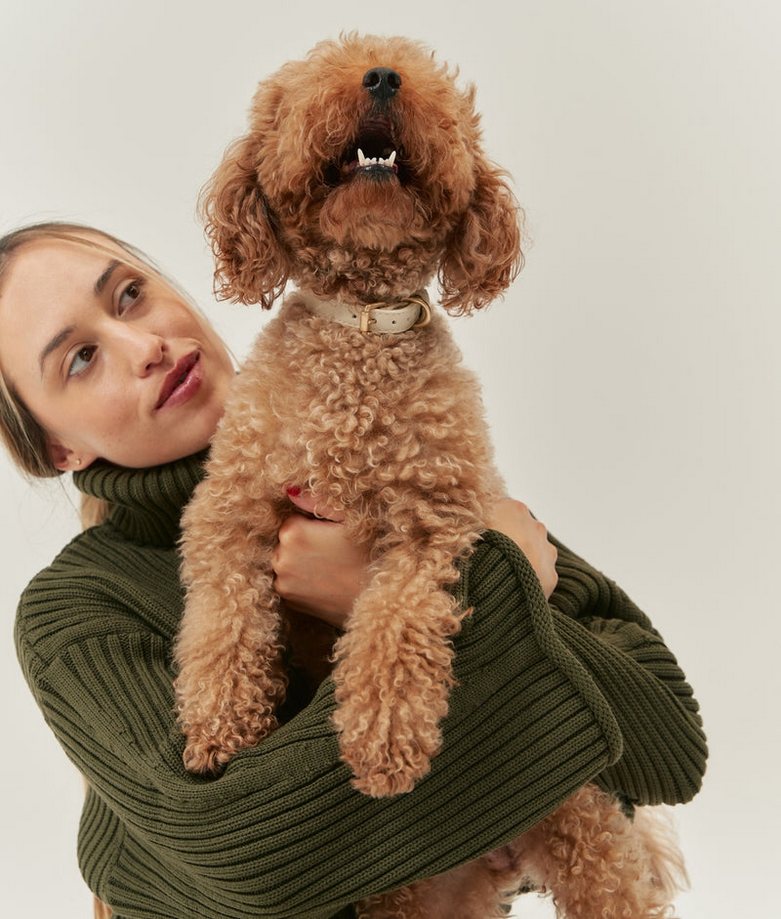 Vegan Beige Dog Collar