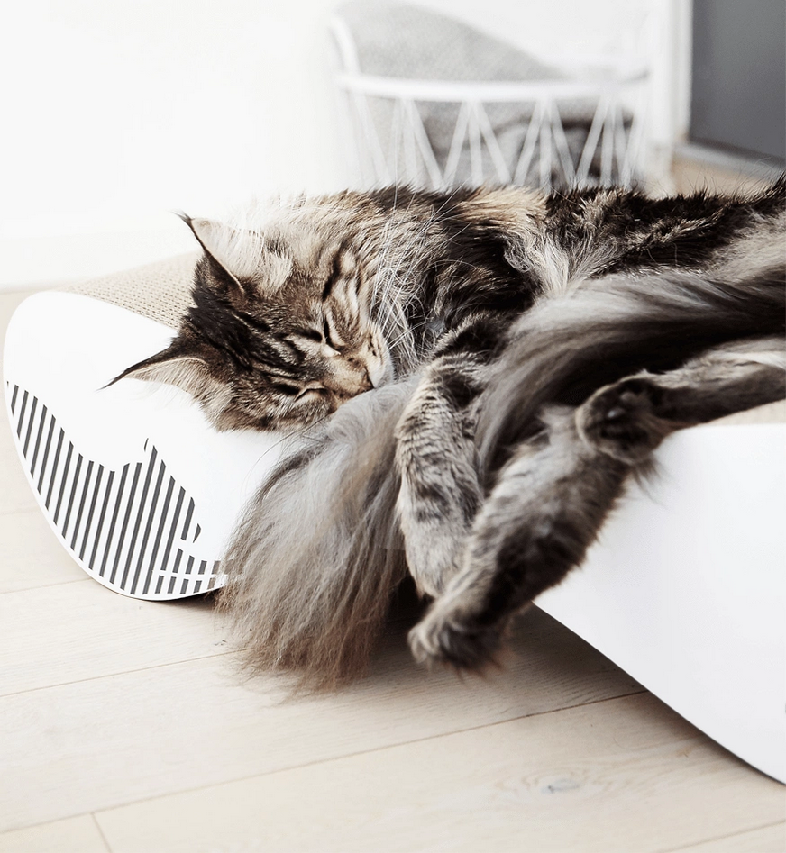 Vigo White Cat Scratcher