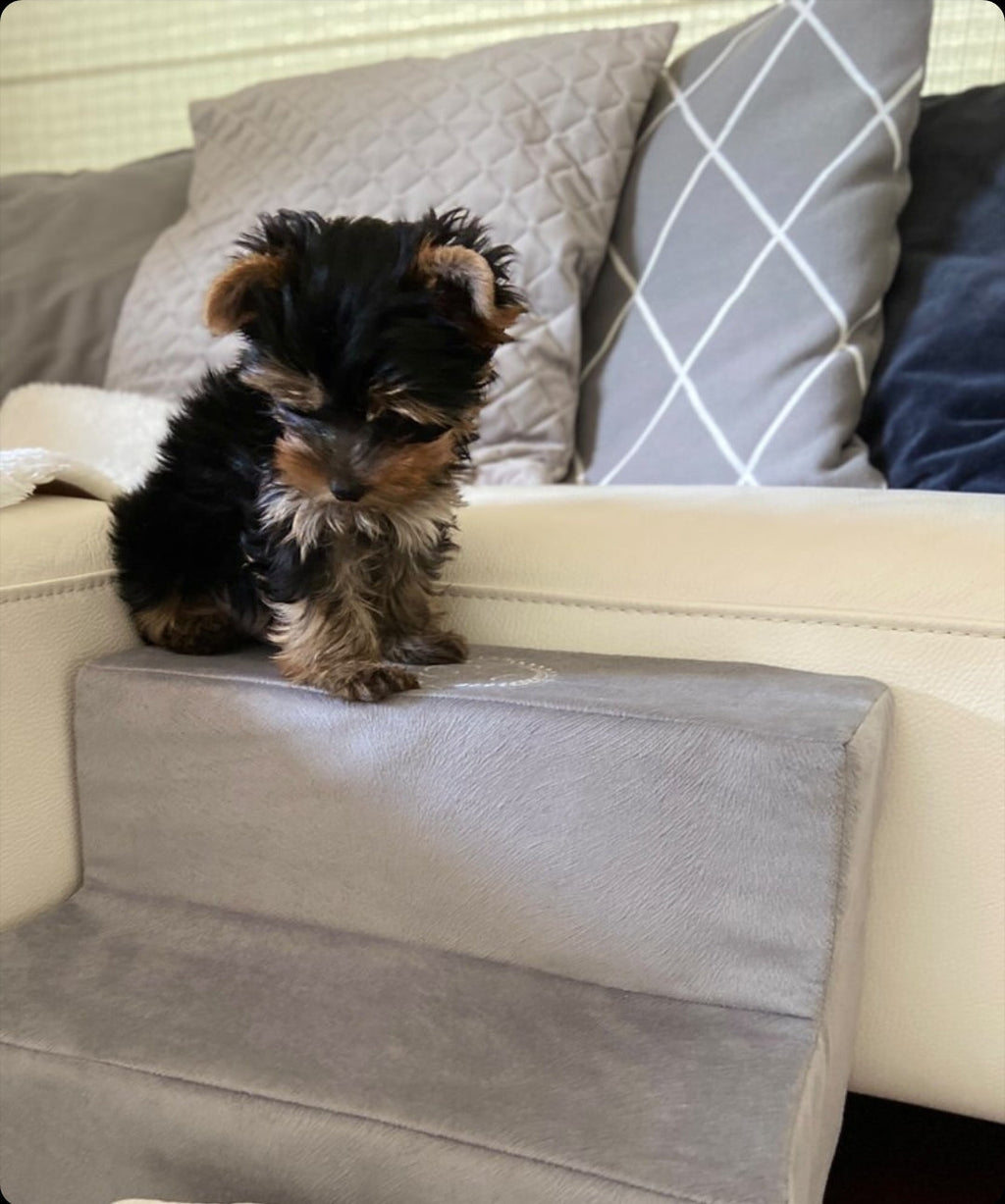 Paris Ecru Luxury Pet Stairs