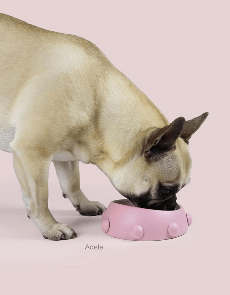 Boss Nano Pet Bowl