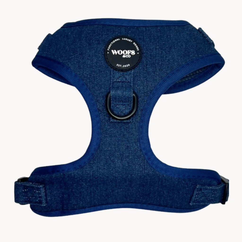 Denim Dog Harness