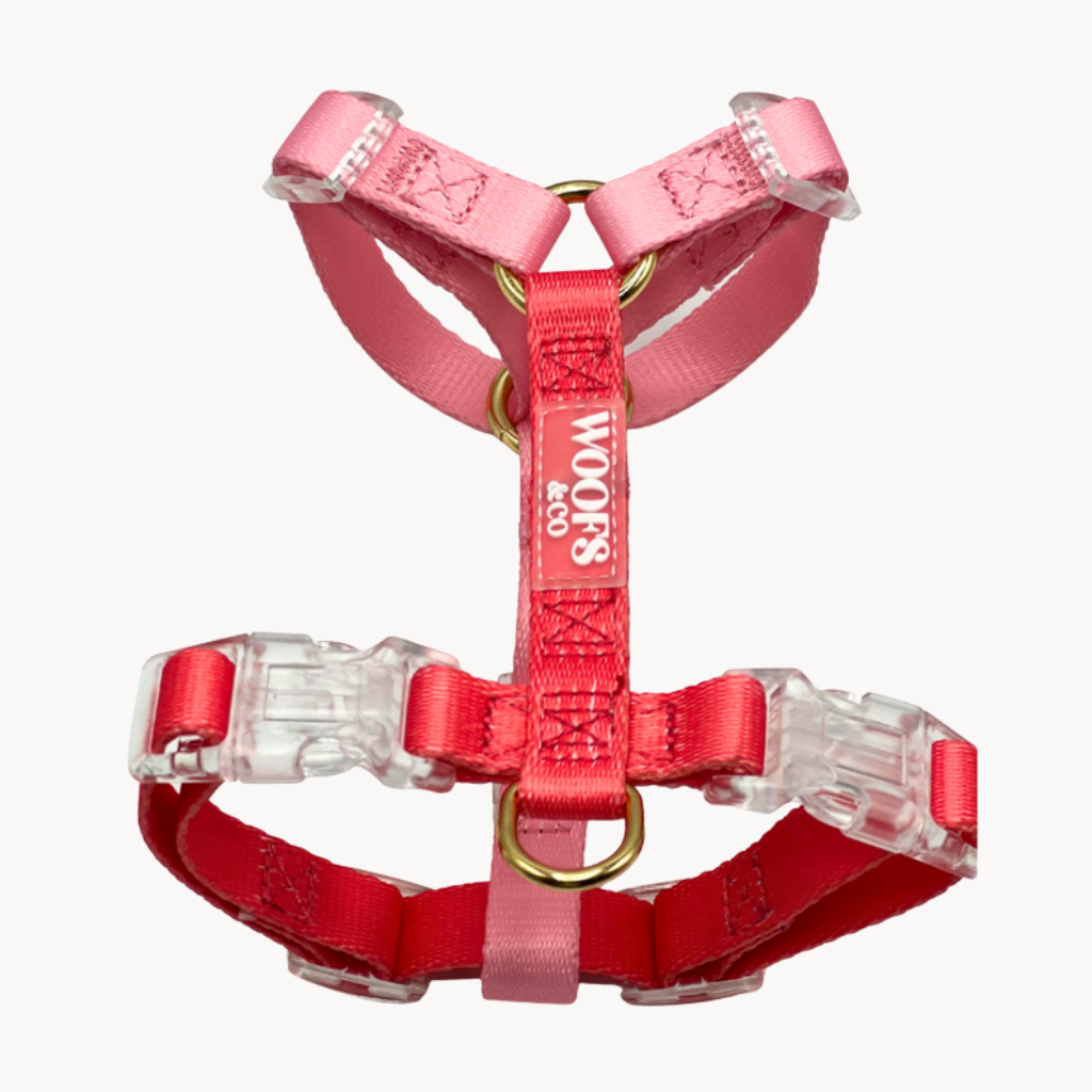 Duo Color Coral Blush Dog Harness