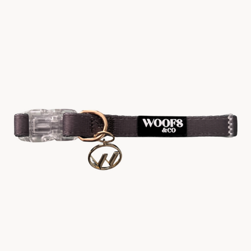 Ash Dog Collar with Charm