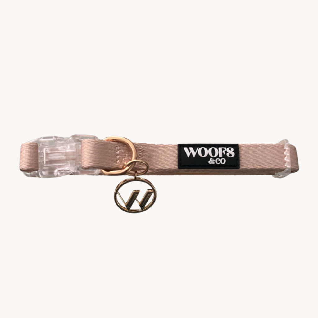 Dune Dog Collar with Charm