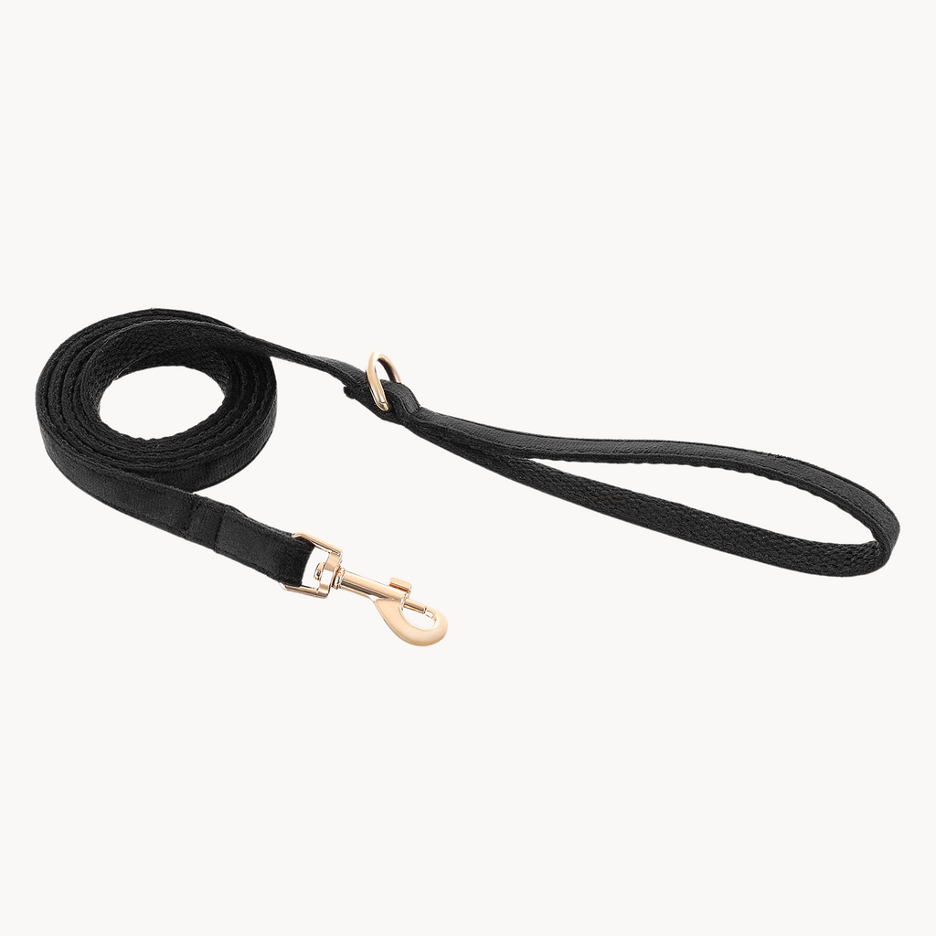 Black Velvet Dog & Cat Leash