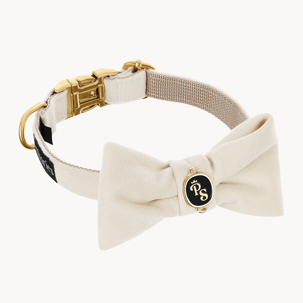 Velvet Dream Ecru Bow Collar