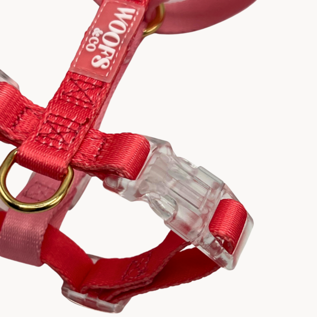 Duo Color Coral Blush Dog Harness