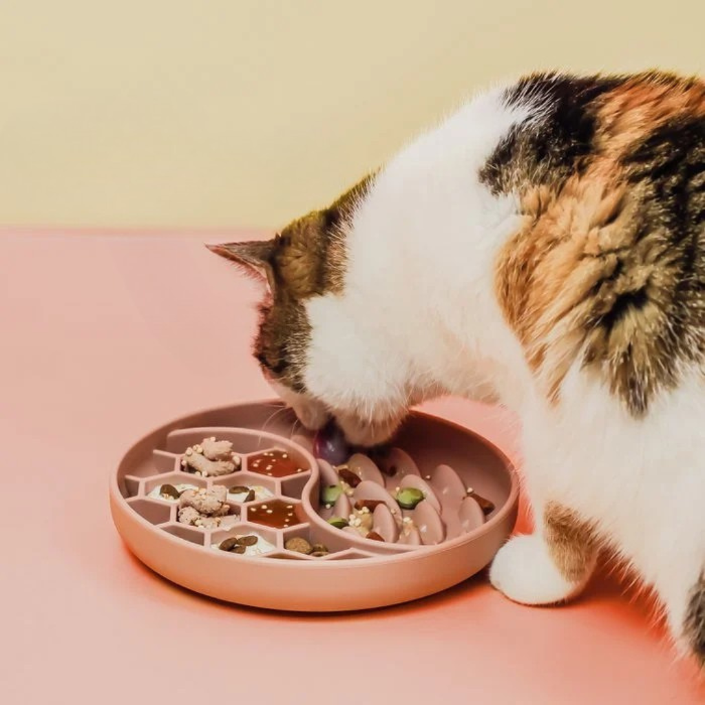 Powder Pink Anti-Sling Bowl