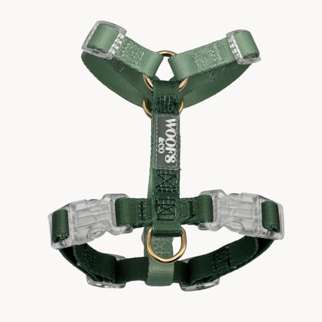 Duo Color Green Dog Harness