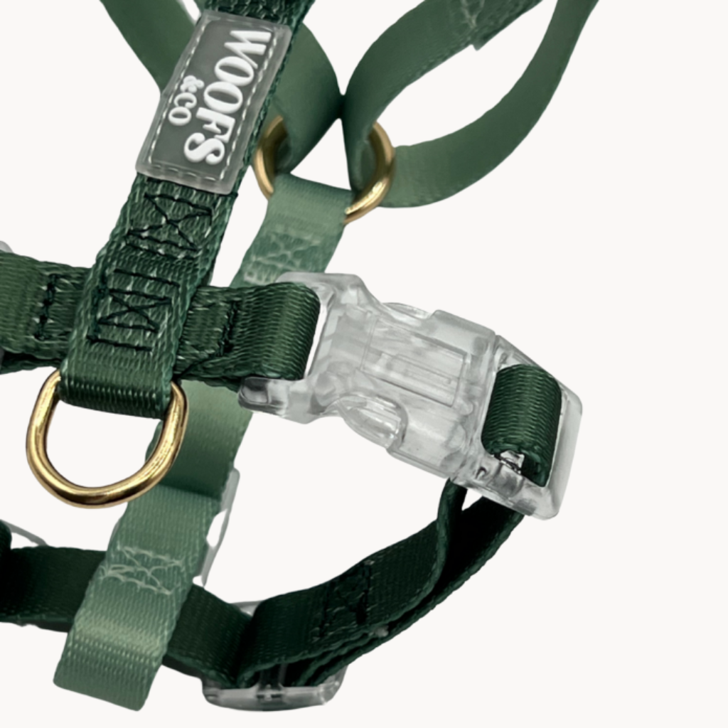 Duo Color Green Dog Harness